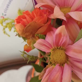 Anneler Günü İçin Gönderilen Çiçeklerin Beklentileri Karşılamaması