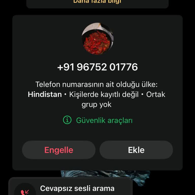 Hindistan Numarasından Gelen Mesaj Sonrası Gizlilik Endişesi