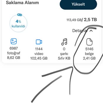 Lifebox'a Google Drive Dosyası Aktarımında Sistemsel Sorun Ve Destek Eksikliği