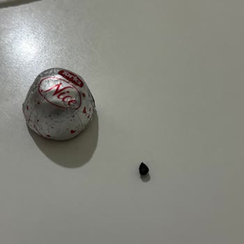 Torku Fındıklı Çikolatadan Plastik Parça Çıkması