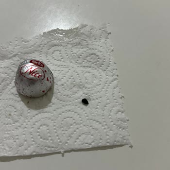 Torku Fındıklı Çikolatadan Plastik Parça Çıkması