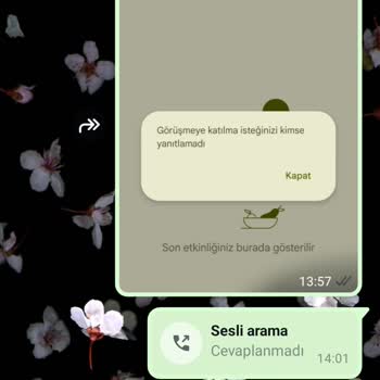 Evden Çalışma Vaadiyle Kimlik Bilgilerimin Kötüye Kullanılmasından Endişeliyim