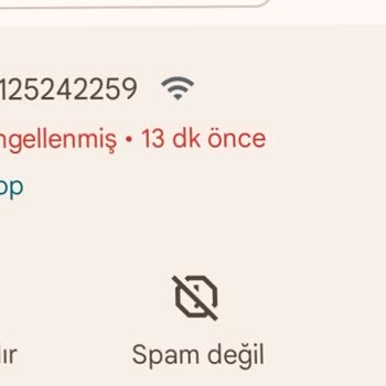 İzinsiz Ses Kaydı Ve Sorumluluk Reddi: Binom Araştırma Şirketi Hakkında Endişe