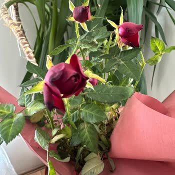 Çiçek Sepeti Anneler Günü'nde Hayal Kırıklığı