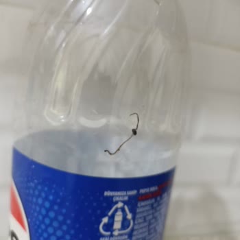 Pepsi Şişesinde Bilinmeyen Maddeyle Karşılaştım, Güvenim Sarsıldı