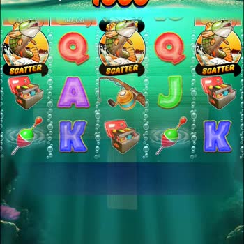 Casibom Yatırım Yaptığım Site Güven Vermiyor