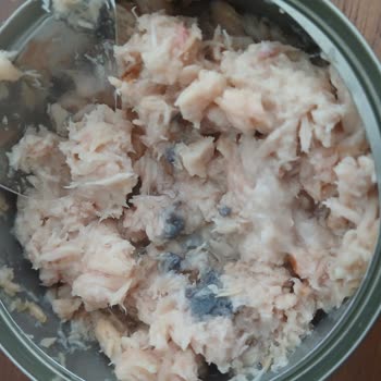 Üründen Küf Çıktı, Acil Geri Dönüş Bekliyorum