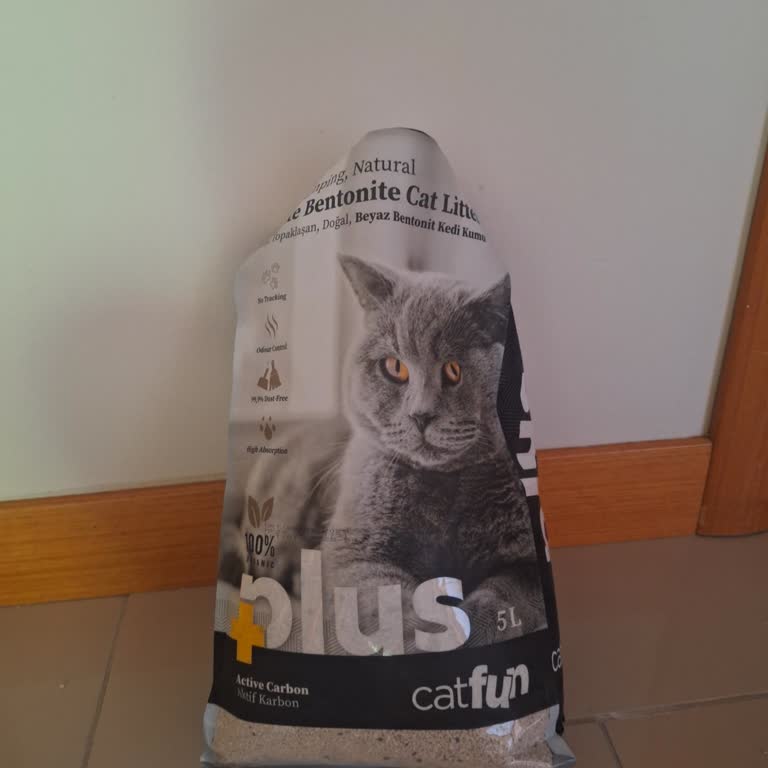 Kedi Kumu Kabusa Döndü: Temizlik Çilesi Ve Kötü Deneyim