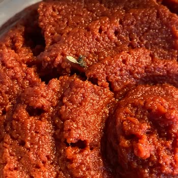 Tat Salçada Sinek Şoku: Güvenim Sarsıldı