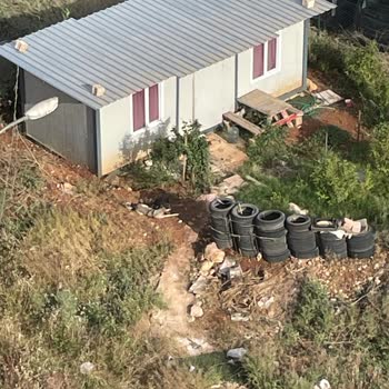 Sokak Köpekleri Nedeniyle Güvensiz Servis Bekleyişi