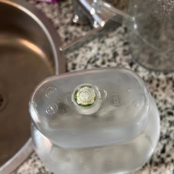 Brita Sürahide Yosunlanma Ve Temizlik Sorunu