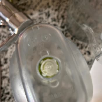 Brita Sürahide Yosunlanma Ve Temizlik Sorunu