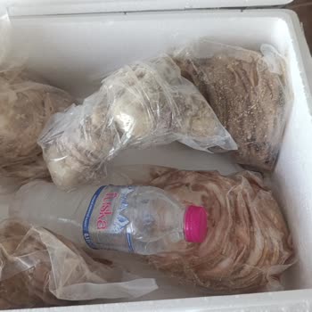 Hasan Usta Kokoreç Reklamda Vaat Edilen Ürün Gelmedi Güvenim Sarsıldı