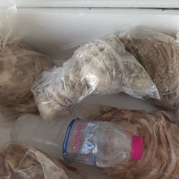 Hasan Usta Kokoreç Reklamda Vaat Edilen Ürün Gelmedi Güvenim Sarsıldı