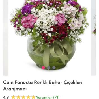 Sipariş Ettiğim Çiçek Solmuş Ve Kötü Durumda Teslim Edildi