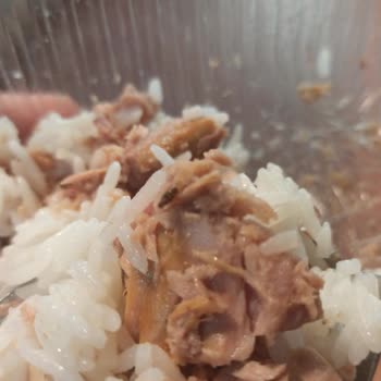 Ton Balığı Konservesinden Yabancı Madde Çıkması Hayal Kırıklığı Yarattı