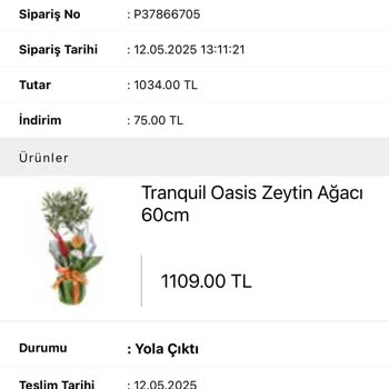 Çiçek Teslimatı Gecikti, Bilgi Ve Destek Alamadım