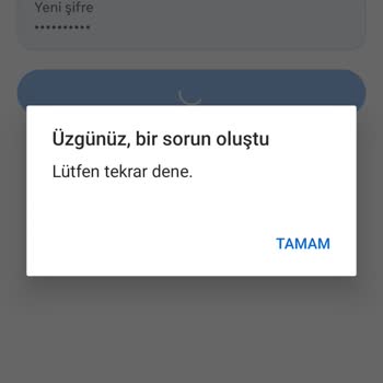 Instagram Hesabımda Şifre Ve Erişim Sorunu: Yardım Bekliyorum