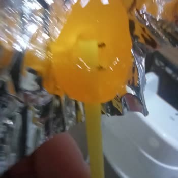 Yupo Şekerden Çıkan Karıncalar Çocuğumun Sağlığını Tehdit Etti