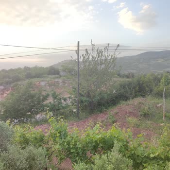 Deprem Sonrası Taşındığımız Köyde Türk Telekom İnternet Hizmeti Sağlanmıyor