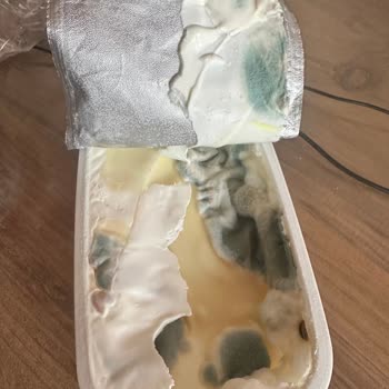 Tarihi Geçmemiş Labne Küflü Çıktı, Mağduriyetim Giderilsin