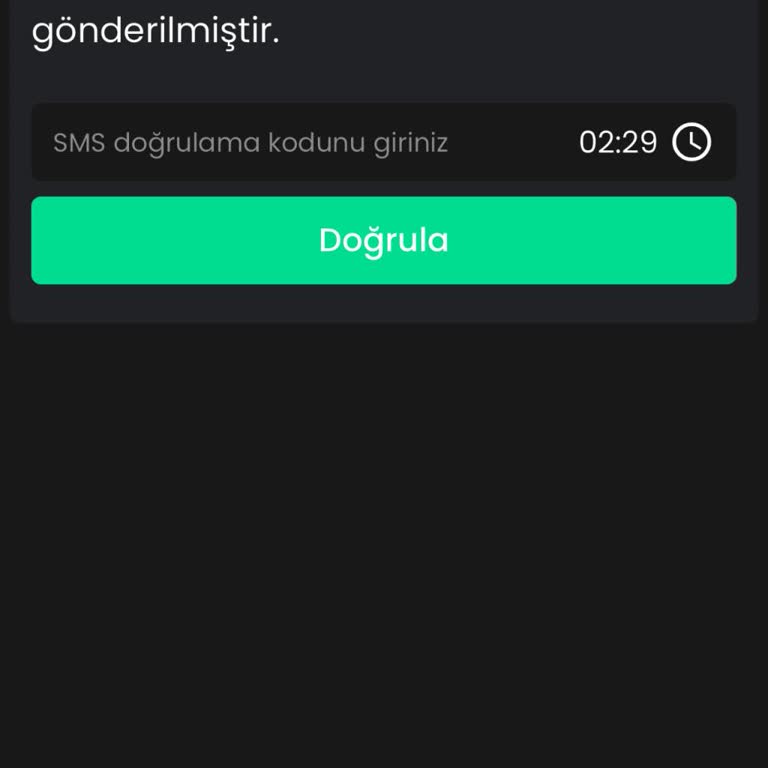 Bitay Borsasında Hesaba Giriş Sorunu Ve Destek Eksikliği
