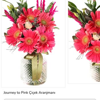 Yanlış Renk Ve Solmuş Çiçek Gönderimi