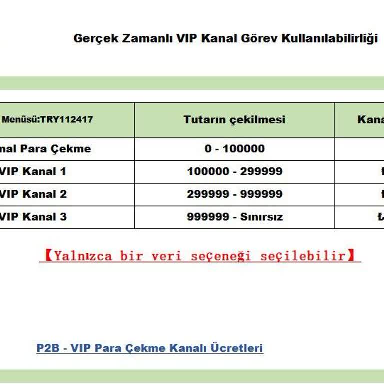 P2B Varlık Fonu Üyeliği Sonrası Yüklü Para Kaybı Ve Ek Talep