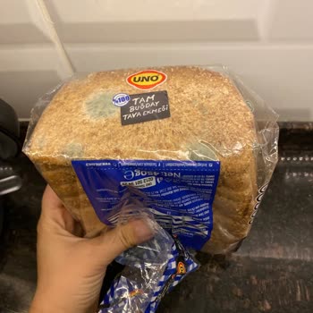 Migros UNO Tam Buğday Ekmeği Küflü Geldi İlgilenen Yok