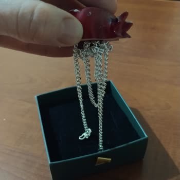 Gümüş Diye Aldığım Kolye Orijinal Çıkmadı Yorumum Yayınlanmadı