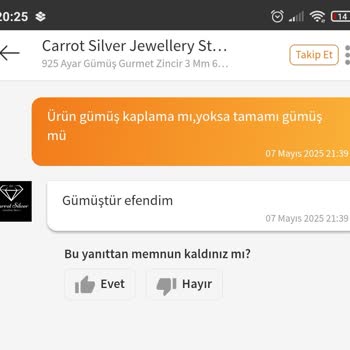 Gümüş Diye Aldığım Kolye Orijinal Çıkmadı Yorumum Yayınlanmadı