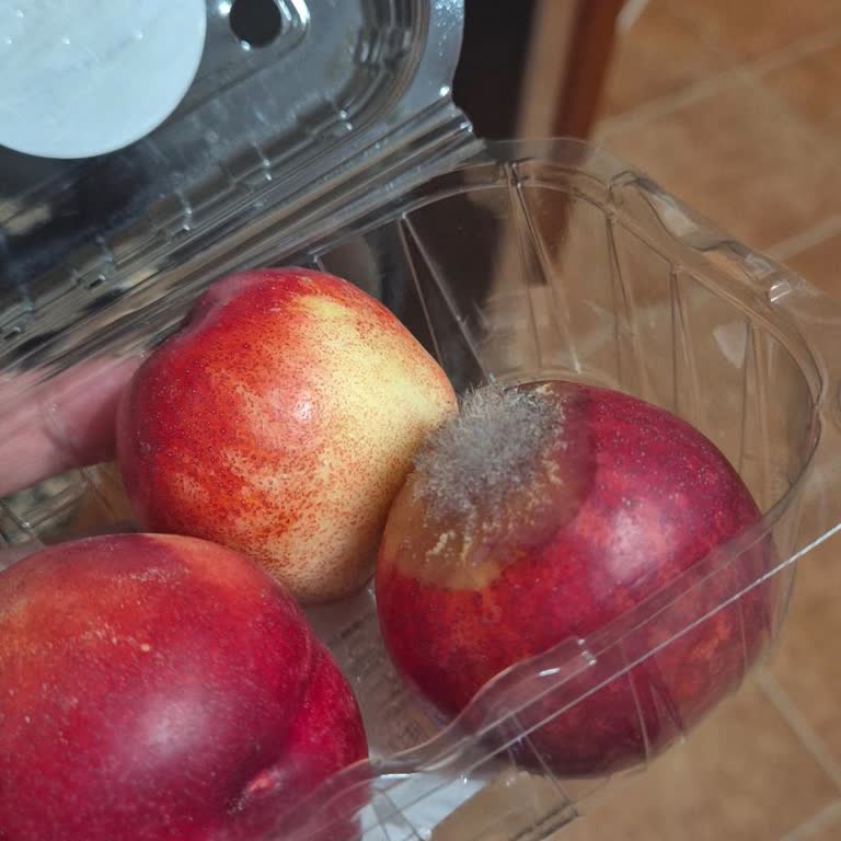 Getir'den Küflü Nektarin Ve Yüksek Ücret Hayal Kırıklığı