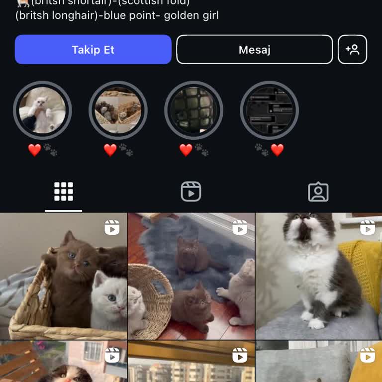 Elifinkuzulari Adam Parayı Aldı, Bize Türlü Hakaretler Edip Engelledi
