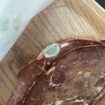 Aldığım Pastırma Küflü Çıktı, Son Tüketim Tarihi Güven Vermiyor