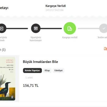 Kargo Gecikmesi Nedeniyle Makalemi Yetiştiremedim, Mağdur Oldum