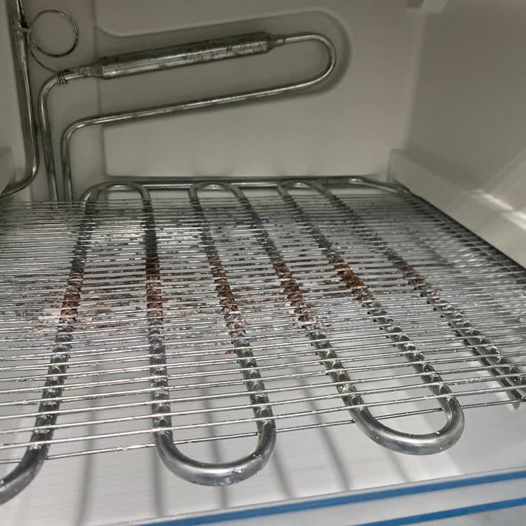 Bosch Derin Dondurucuda Beklenmedik Paslanma Ve Mağduriyet