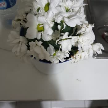 Gelen Çiçek, Siparişimle Uyumlu Değildi