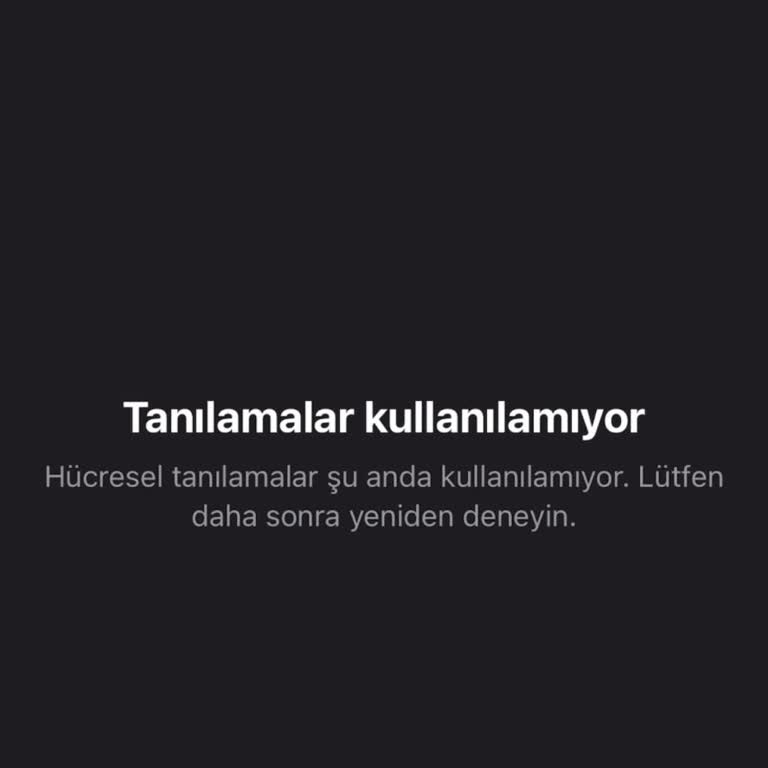 İphone 14'te Şebeke Sorunu Ve Çözüm Bulunamaması