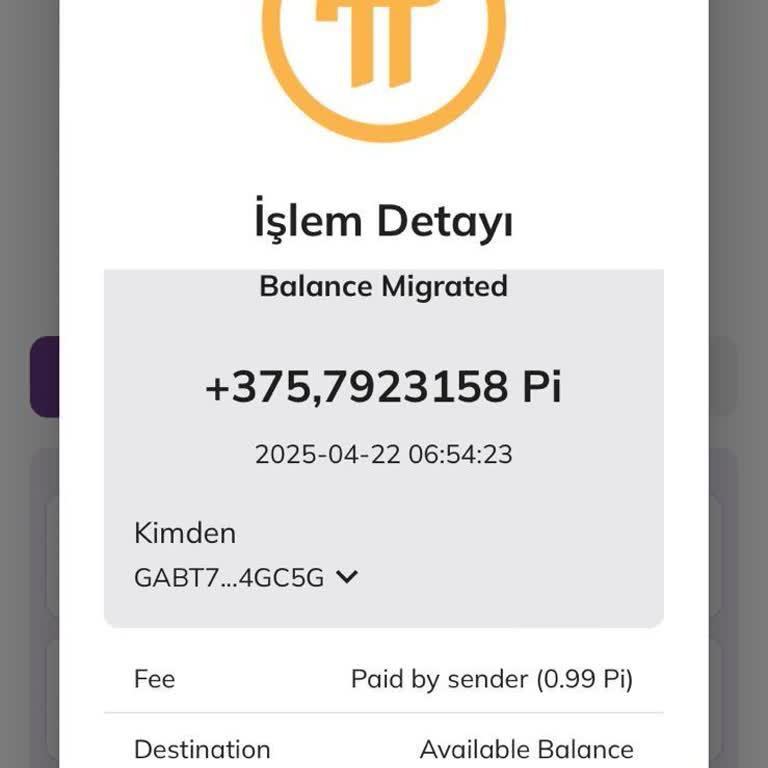 Pi Network Pi Coin Kilidi Açılmasına Rağmen Bakiyem Güncellenmedi