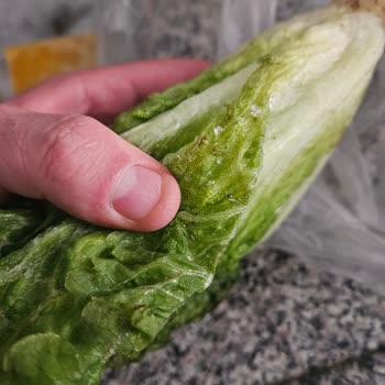 Bosch Buzdolabı Arızası 3 Aydır Çözülemiyor Yiyecekler Bozuluyor