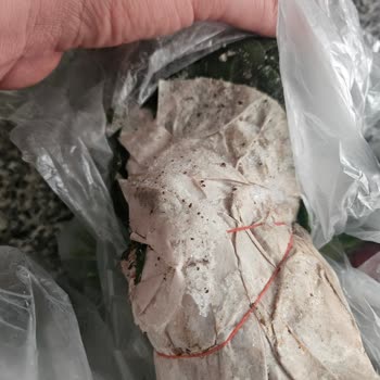 Bosch Buzdolabı Arızası 3 Aydır Çözülemiyor Yiyecekler Bozuluyor