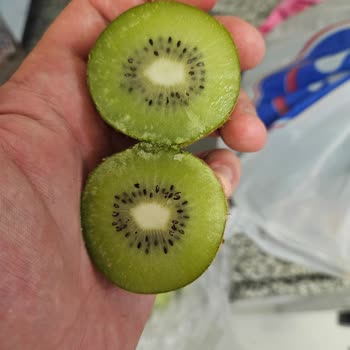 Bosch Buzdolabı Arızası 3 Aydır Çözülemiyor Yiyecekler Bozuluyor