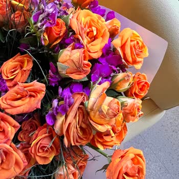 Solmuş Güller Ve Eksik Çikolata: Cevapsız Kalan Şikayetim