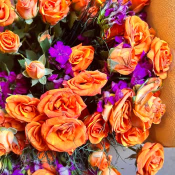 Solmuş Güller Ve Eksik Çikolata: Cevapsız Kalan Şikayetim