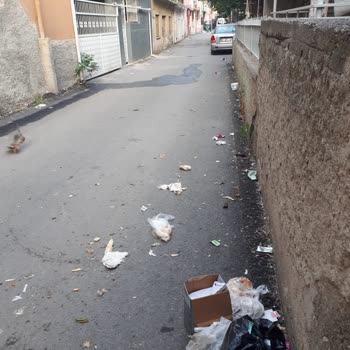 Seyhan Belediyesi'nin Düzensiz Çöp Toplama ve Sivrisinek Sorunu