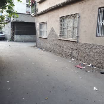 Seyhan Belediyesi'nin Düzensiz Çöp Toplama ve Sivrisinek Sorunu