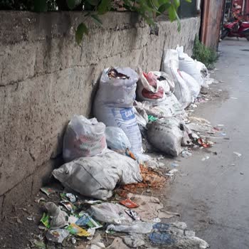 Seyhan Belediyesi'nin Düzensiz Çöp Toplama ve Sivrisinek Sorunu