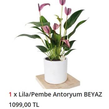 Yanlış Renk Ve Kirli Saksı İle Eksik Sipariş Teslimatı