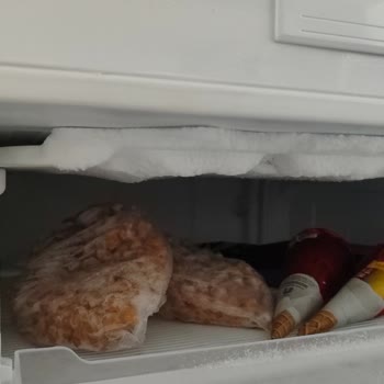 Regal Derin Dondurucuda Sürekli Buzlanma Sorunu Ve Yetersiz Servis Çözümü