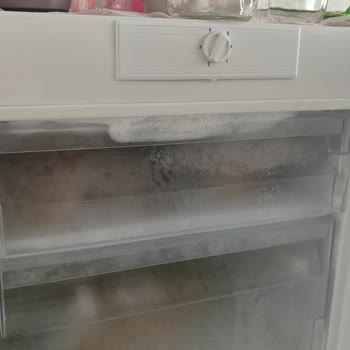 Regal Derin Dondurucuda Sürekli Buzlanma Sorunu Ve Yetersiz Servis Çözümü